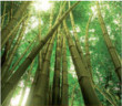 Chránič matrace bambus - polyuretan 70 x 140 cm
