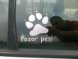 Nálepka na auto - "pes v autě" se jménem a obrázkem dle vlastního výběru