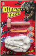 Dinosauří fosilie