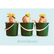 Blahopřání mini Anne Geddes - Zelená ve třech kbelících