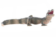 Krokodýl 11 cm