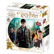 3D puzzle Harry Potter 500 ks